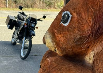 motorcycle and mountain boomer